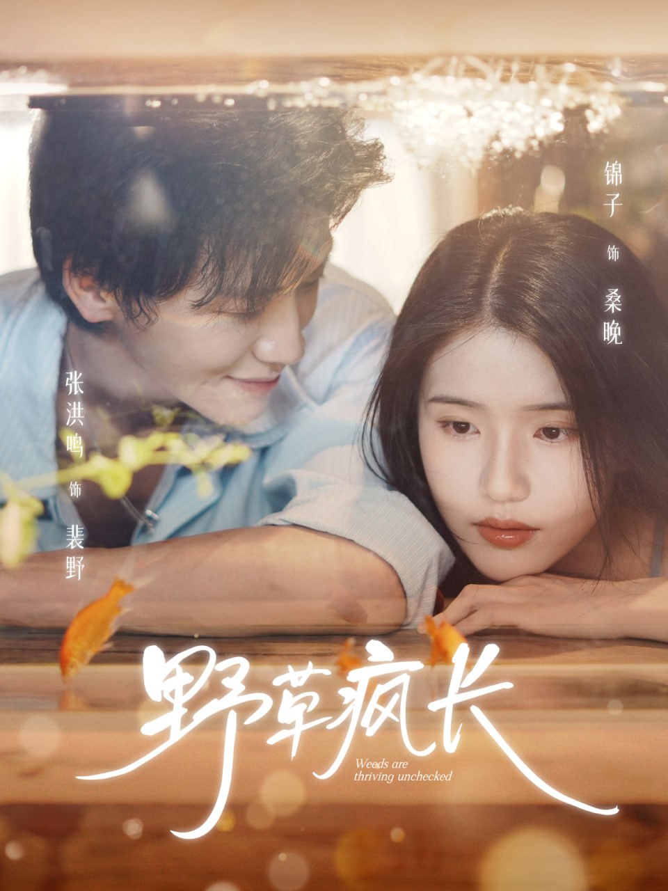 泰坦尼克号电影高清