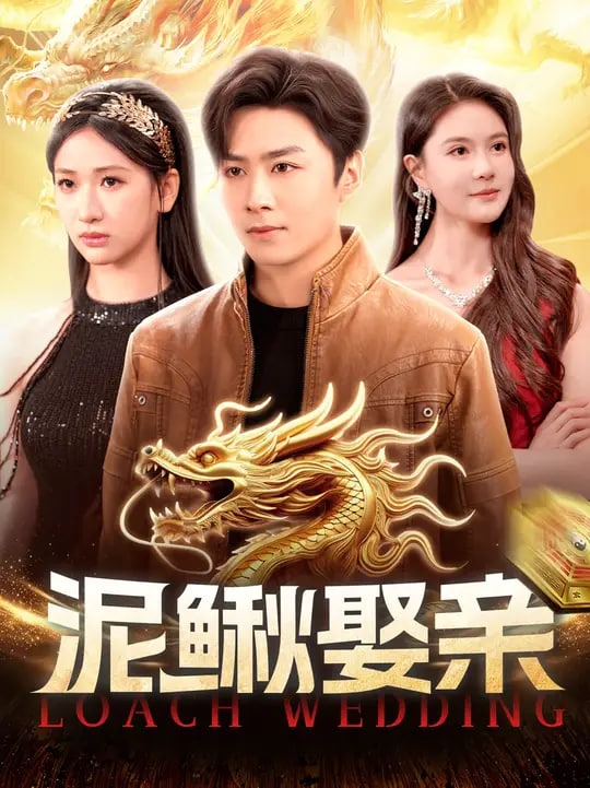 噼里啪啦电影在线观看免费高清