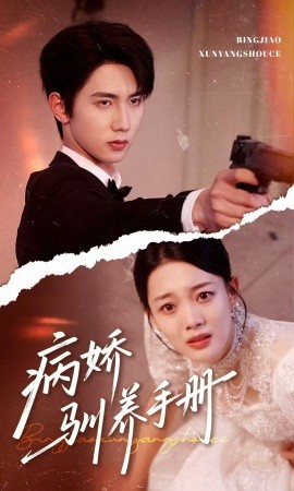 不会恋爱的我们电视剧免费观看