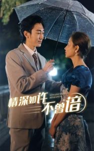 星空无限传媒免费观看电视剧赘婿