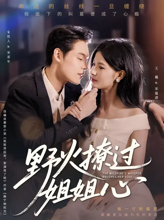 温暖的弦电视剧