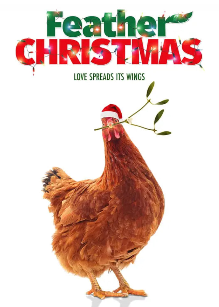 我的二哥二嫂电视剧全集在线观看