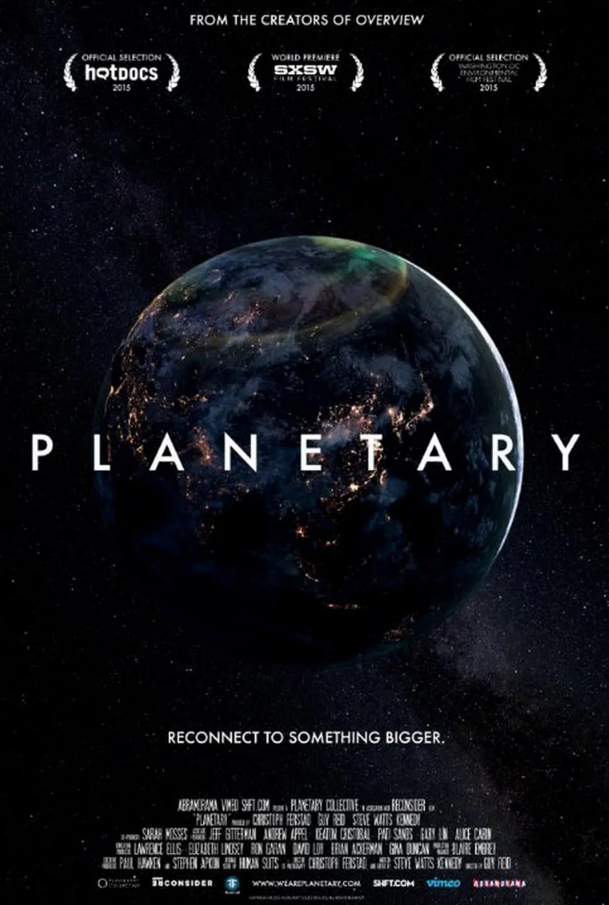 站住花小姐电视剧免费观看完整版