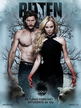 归路电视剧免费播放完整版