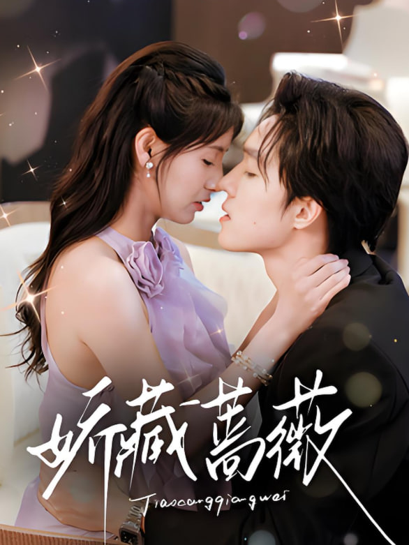 爱情碟中谍电视剧全集