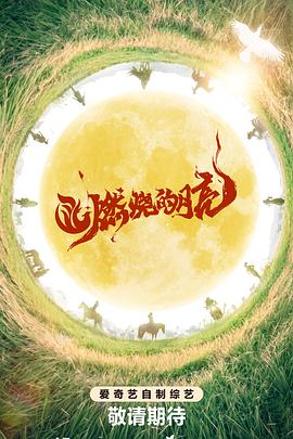 大博弈电视剧免费观看完整版