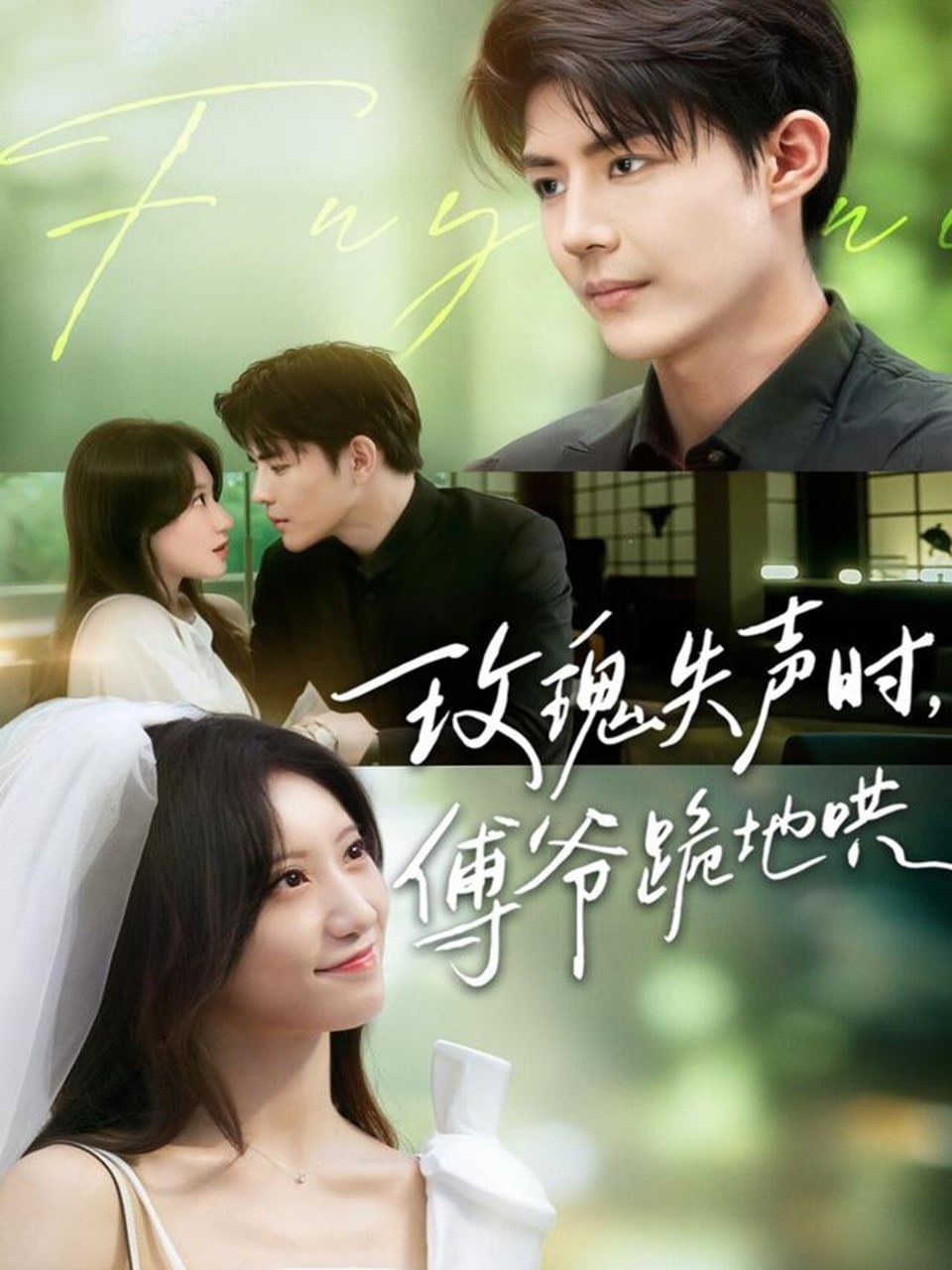 电视剧小敏家免费观看全集