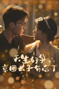 凤凰台上 电视剧