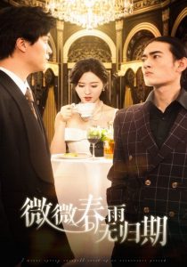 我的刺猬女孩电视剧免费观看