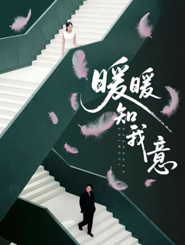 电视剧小菊的秋天全集