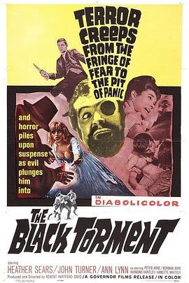 《朱雀堂》电视剧免费观看