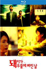 妻子的秘密免费版电视剧大全