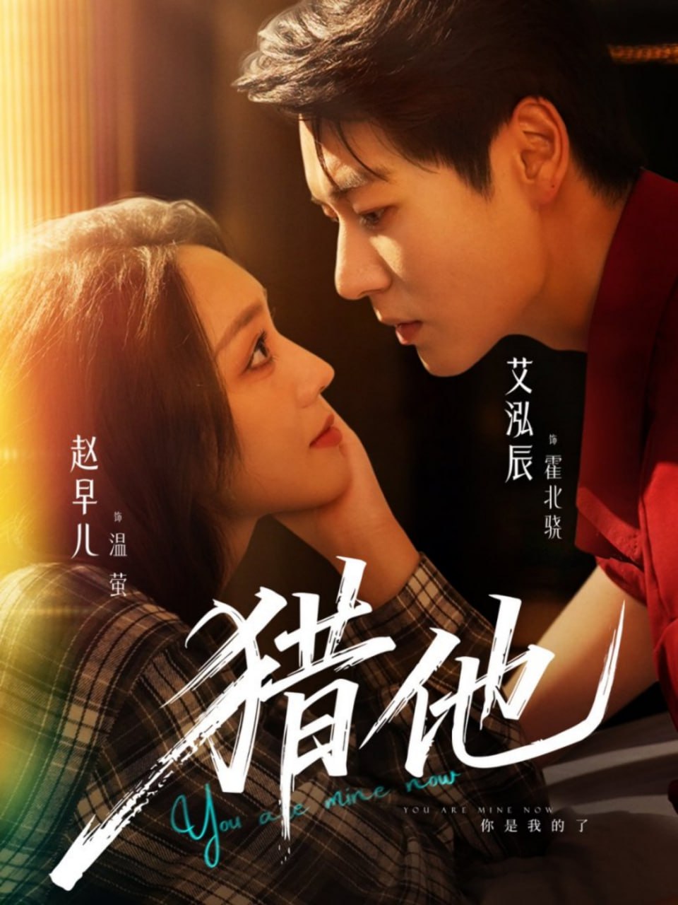 我在他乡挺好的电视剧