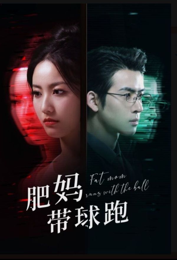 金瓶双艳电视剧免费观看全集