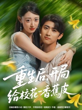 电视剧沉默的荣耀